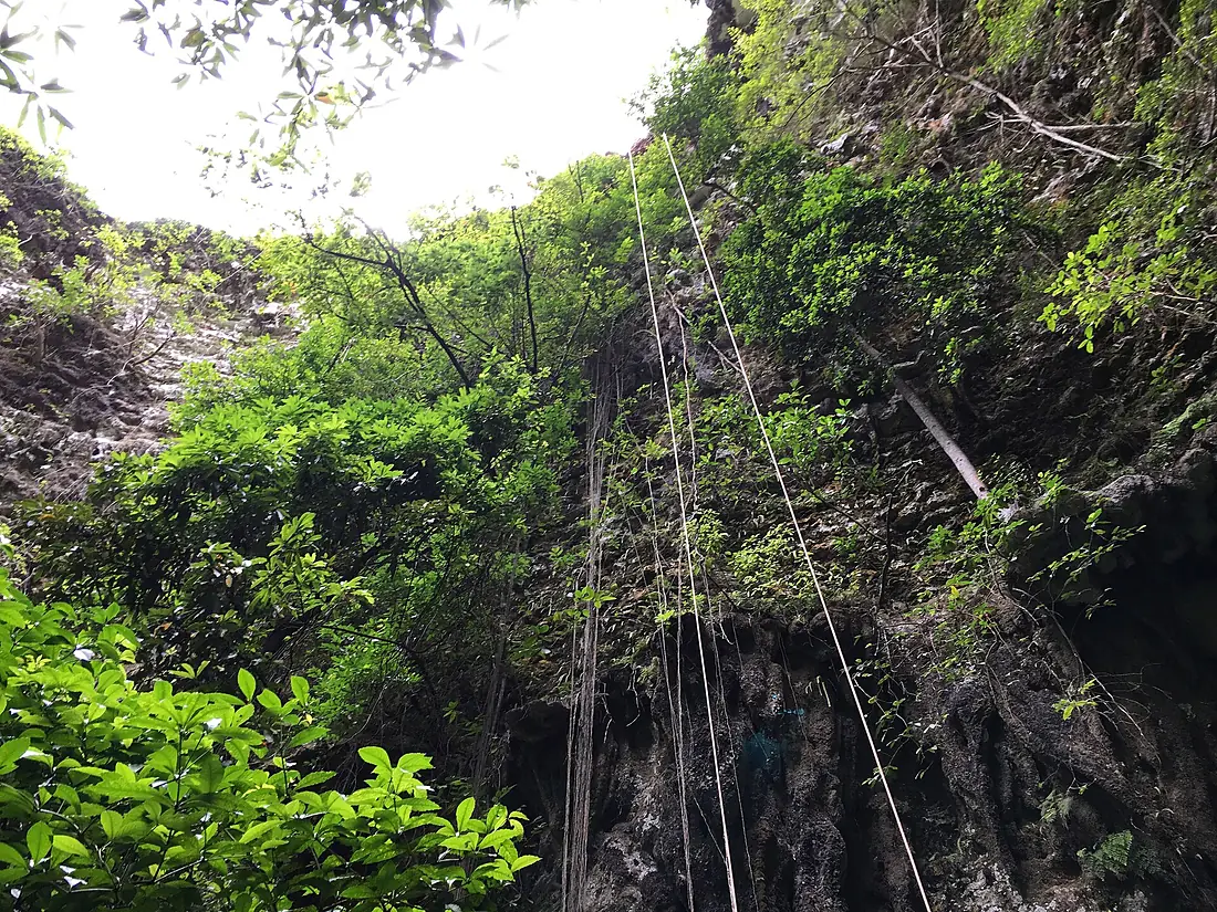 Vertical Climbing