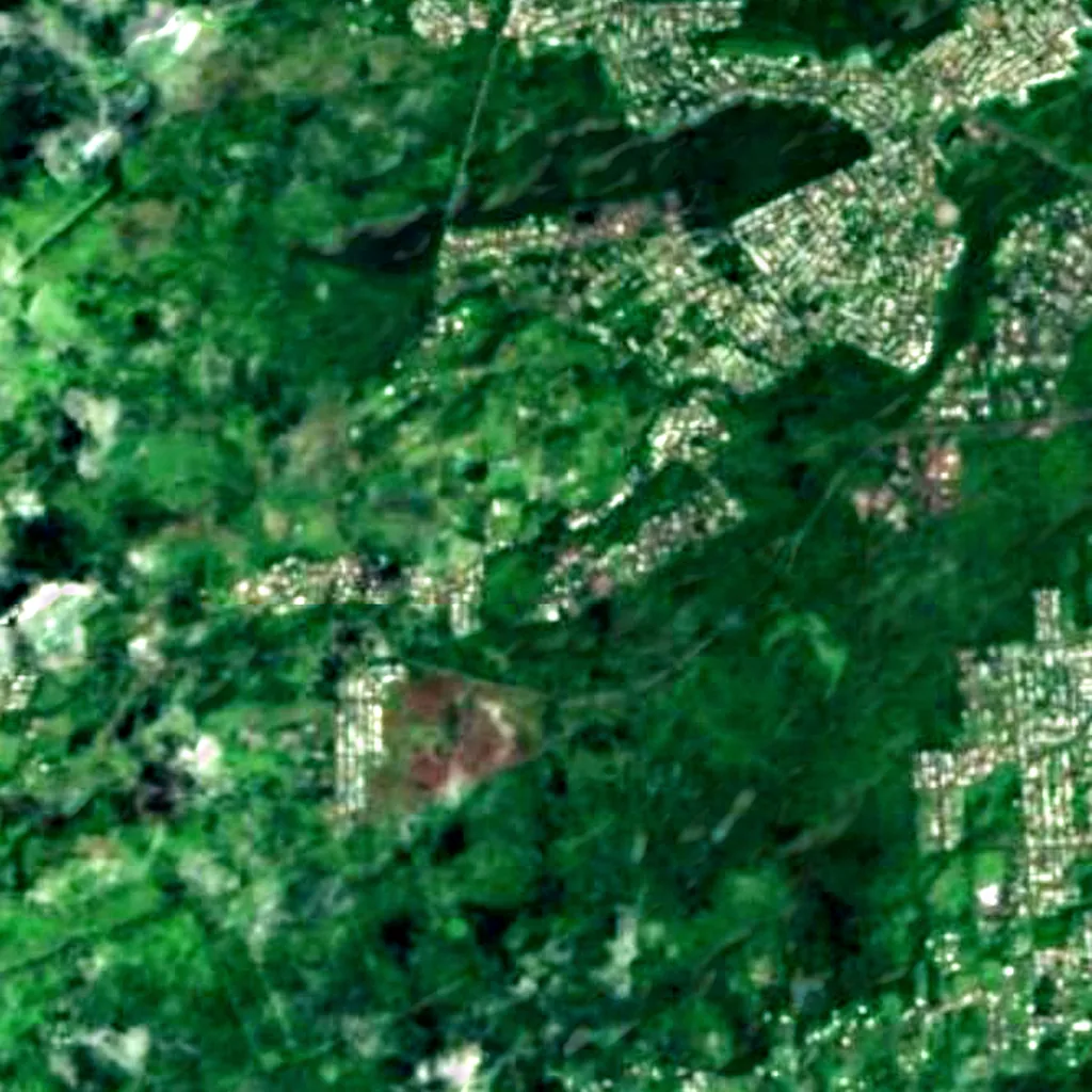The ground above Kaumana Cave (Sentinel-2)