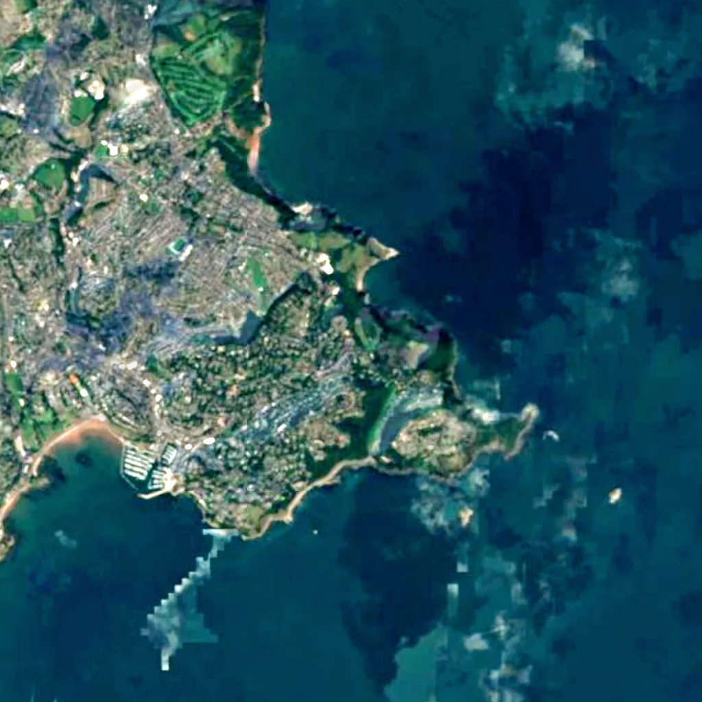The ground above Kents Cavern (Sentinel-2)