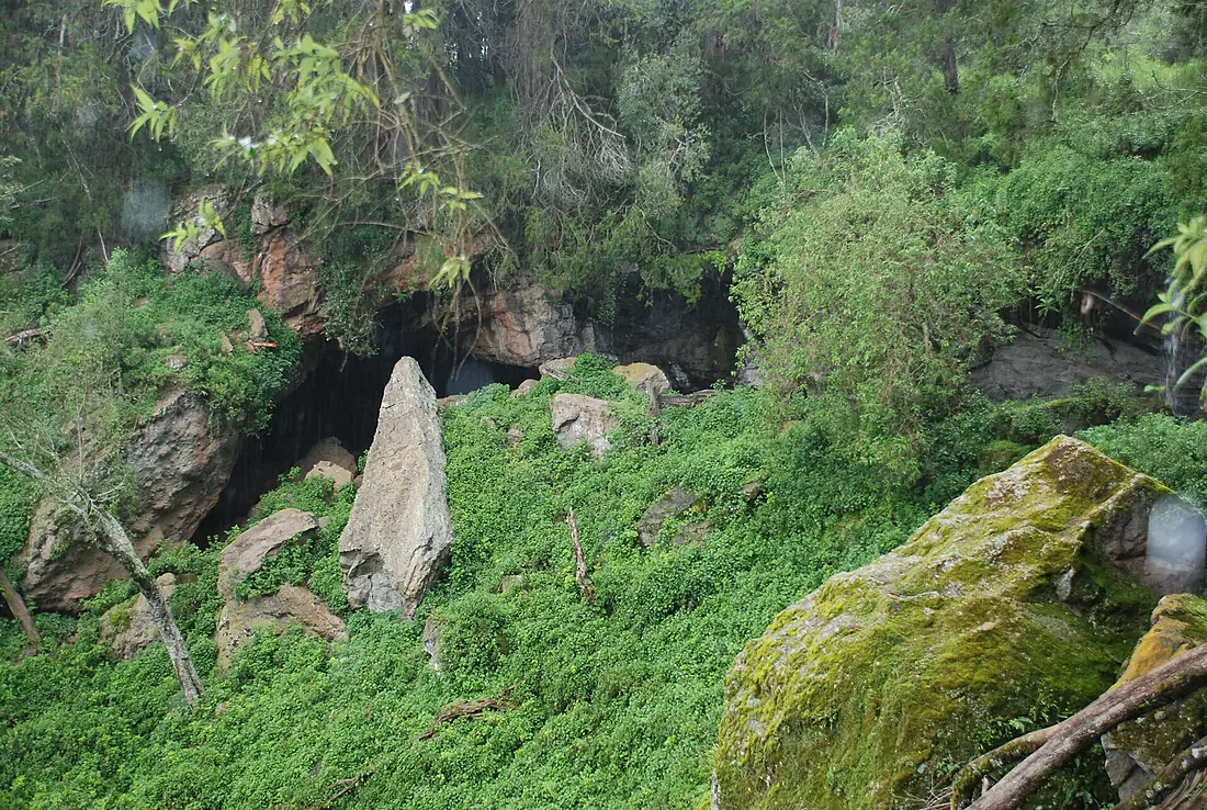 KITUM - Entrance of Kitum Cave surrounded by montane forest, Kenya, 2012