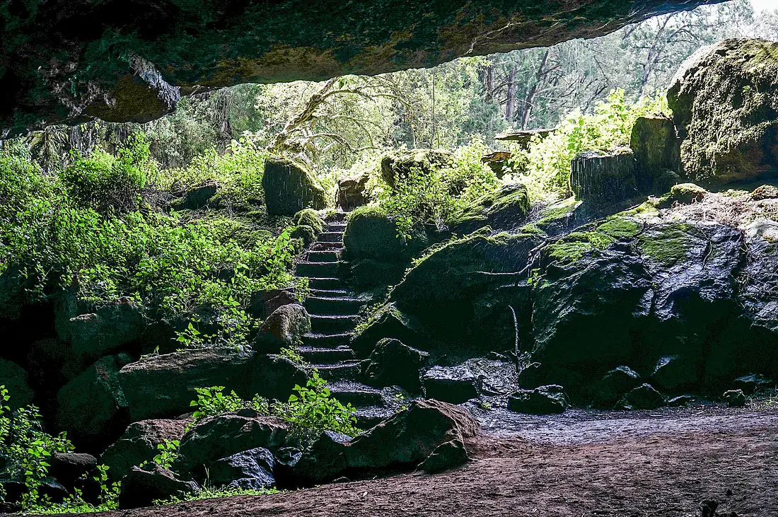 Mount Elgon National Park 4