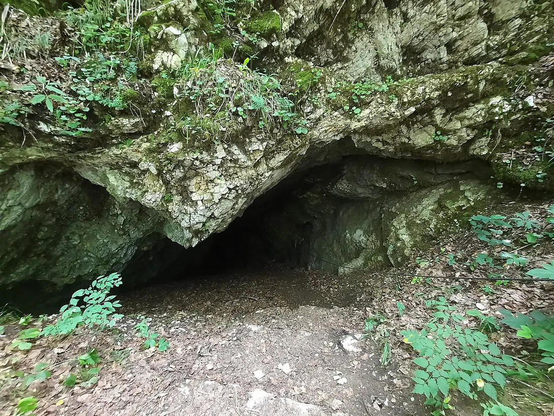Klokocevica