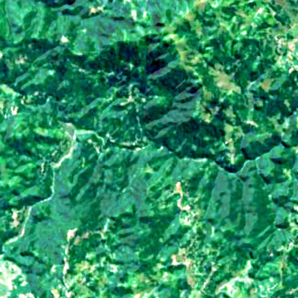 The ground above Liang Bua (Sentinel-2)