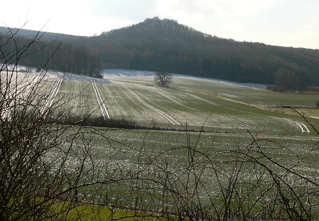 Lichtenstein von Förste