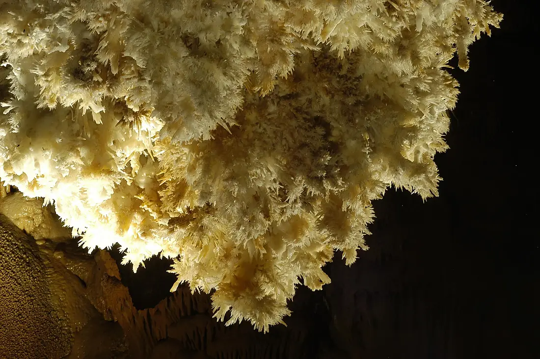 Photo Limousis le Lustre
