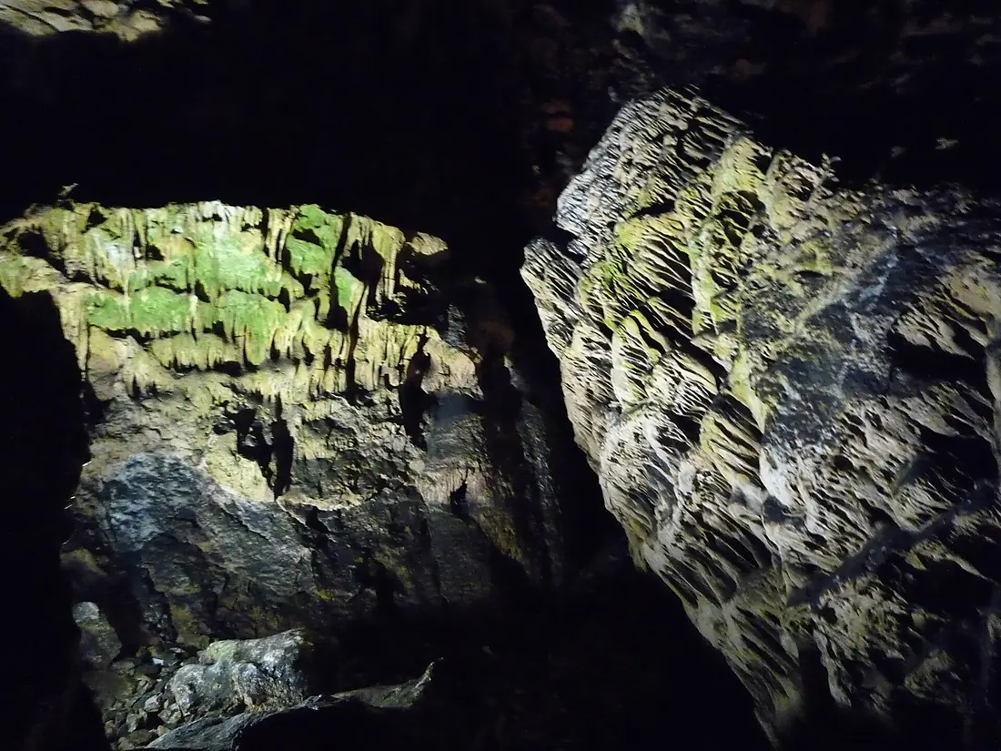 "Падналия бор", Магурата - "The fallen pine tree, Magurata cave - panoramio