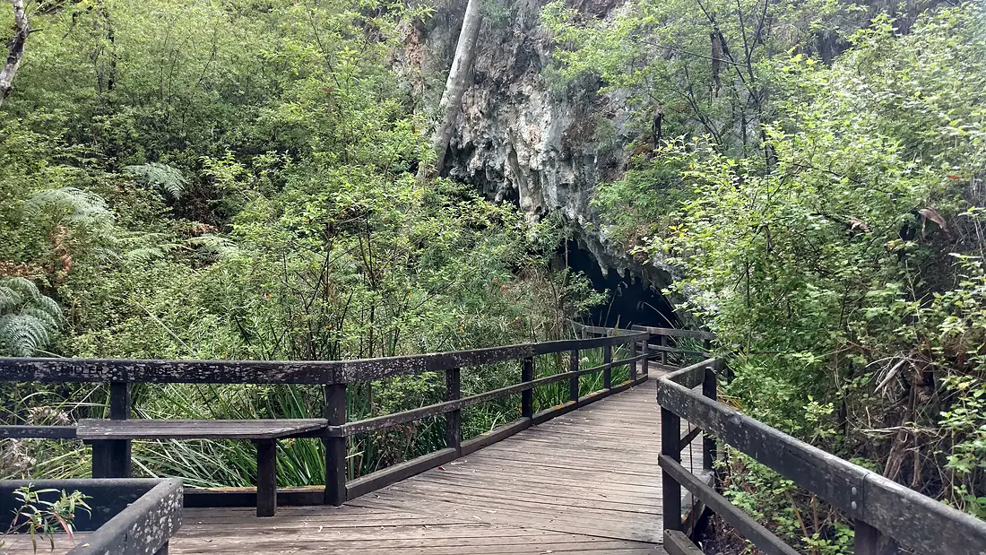 2016 Mammoth Cave, Margaret River, Australia, entrance