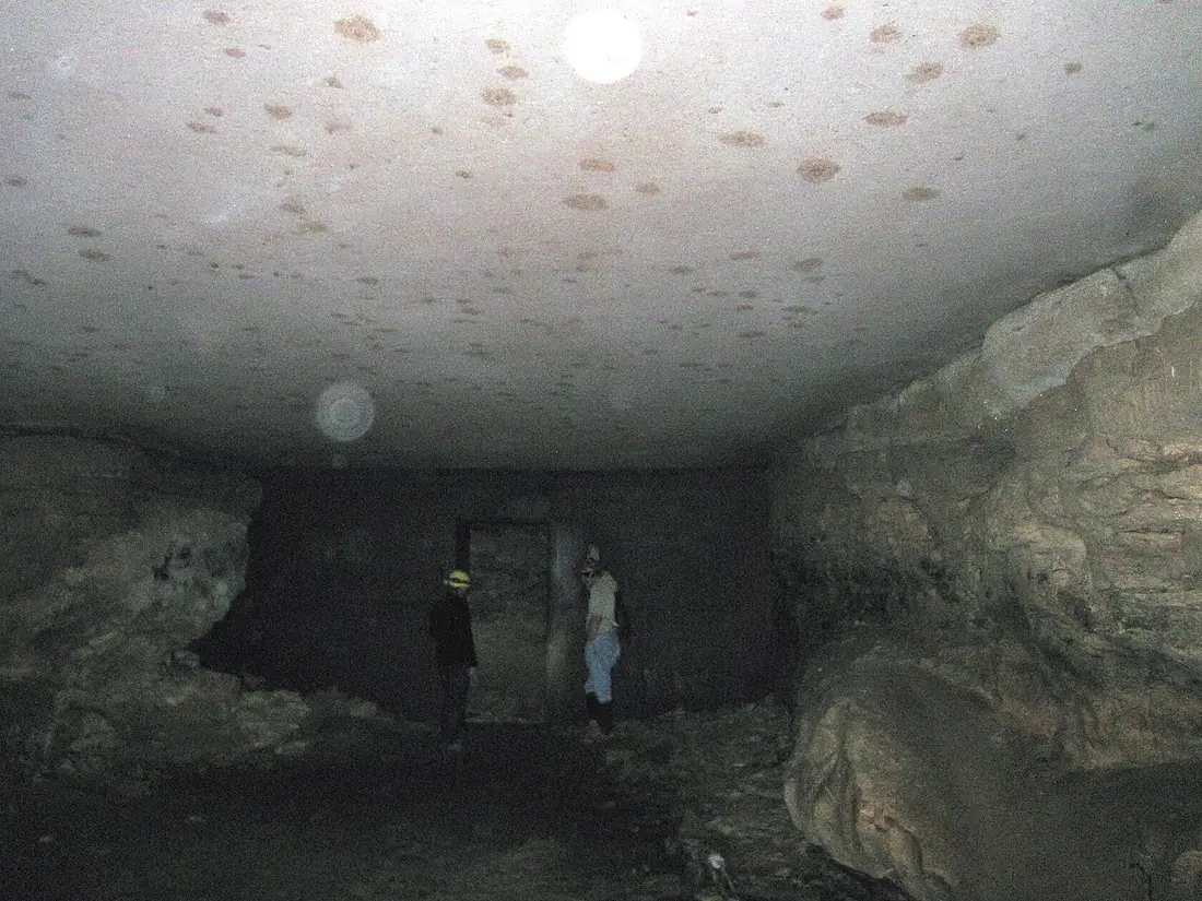 14A Beech Creek Member ceiling & Elwren Member walls 8 (8325837440)