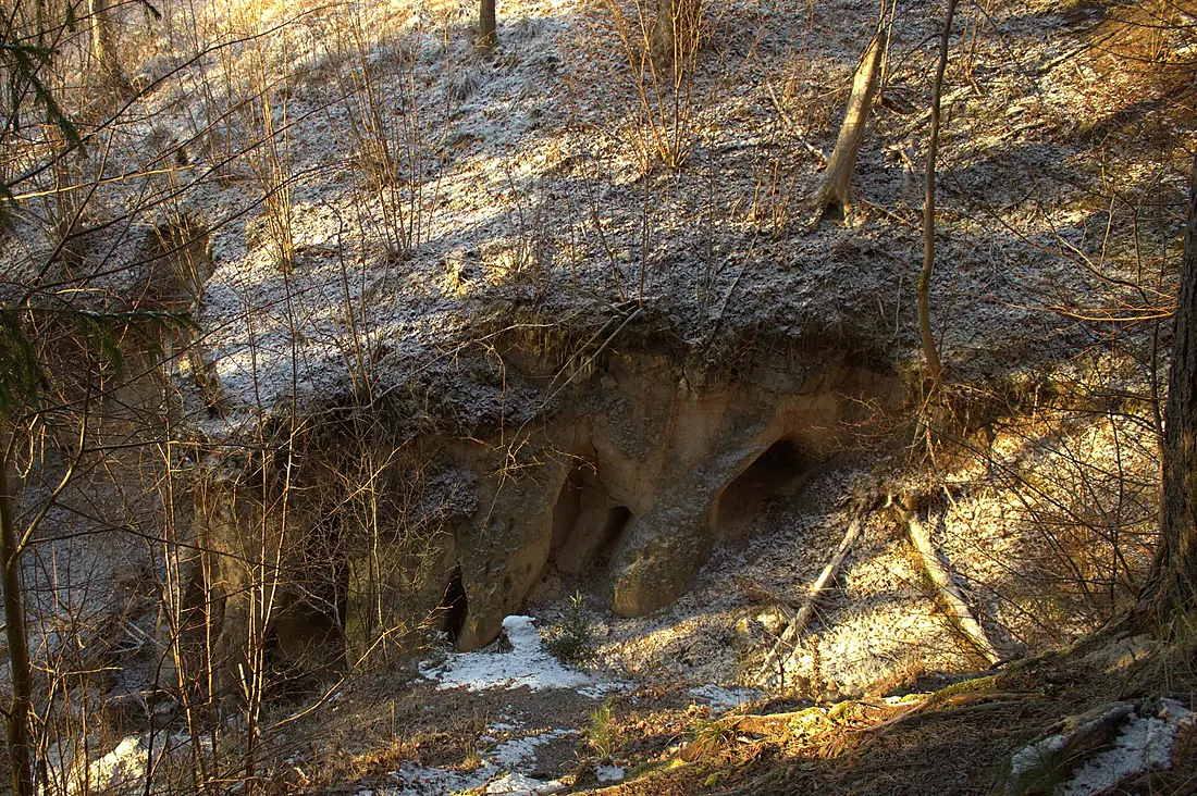 2014 12 Maras kambari (8)