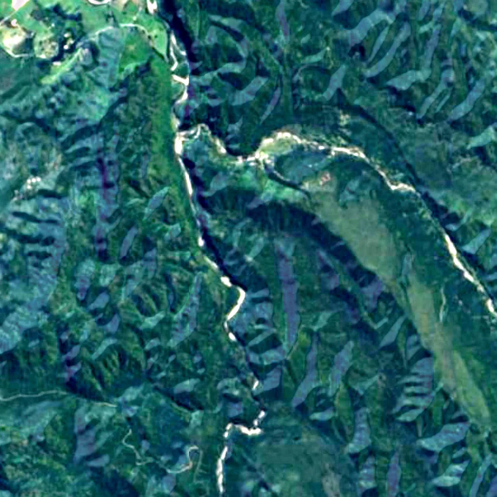 The ground above Metro Cave / Te Ananui Cave (Sentinel-2)
