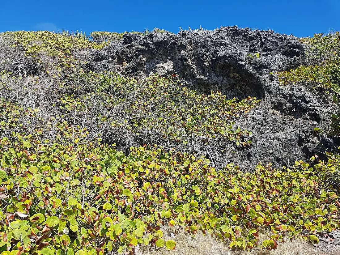 Morne-Rita, autre vue du massif abritant la grotte ornée