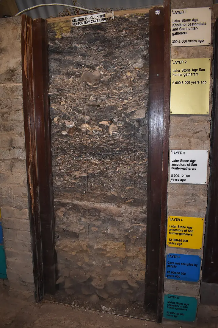 Profile of Nelson Bay Cave