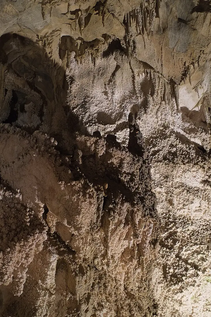 Cave popcorn on cave wall in Ngarua Caves