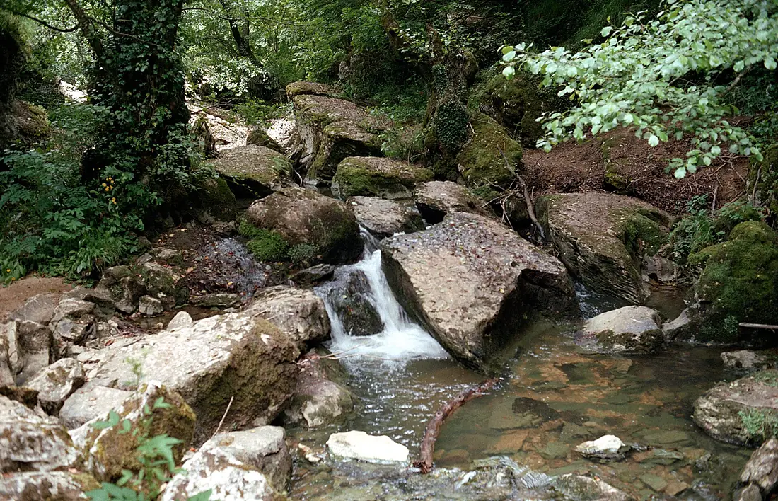 Río Guareña (4)