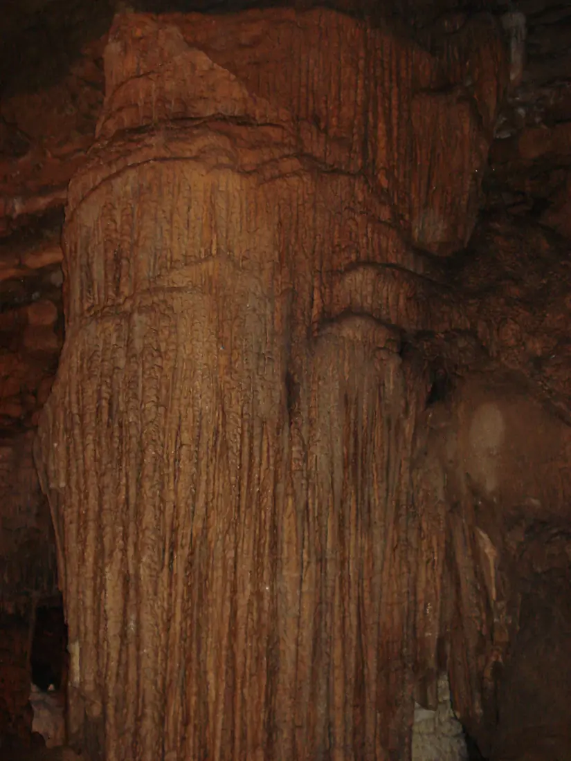 OrganCave2