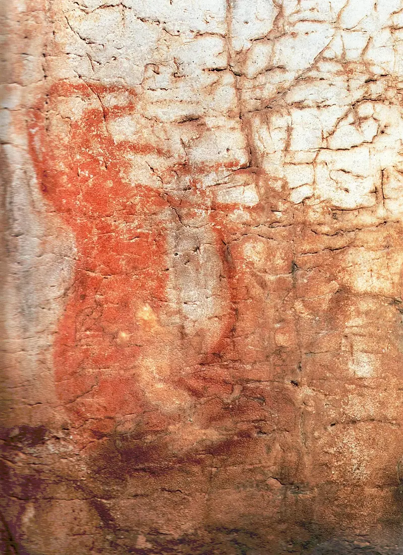 Grotta Paglicci - Pittura Parietale