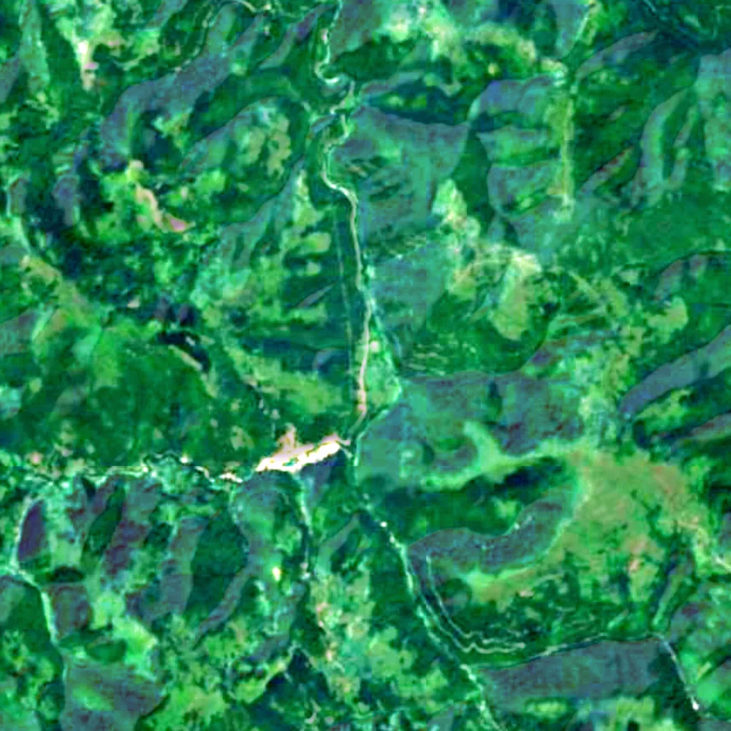 The ground above Pećinska church (Sentinel-2)