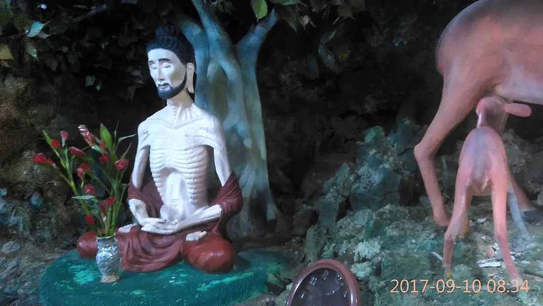Practising Dokka Sriya