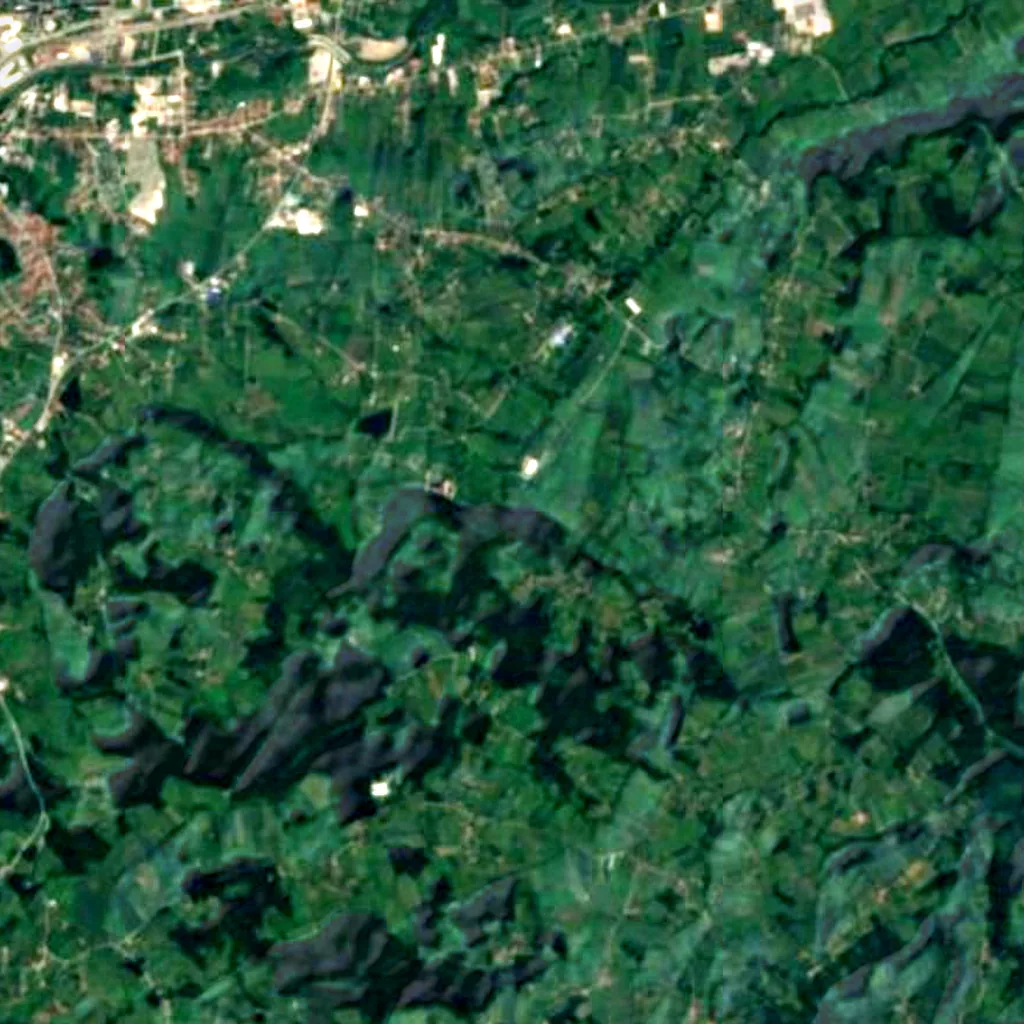 The ground above Petnica Cave (Sentinel-2)