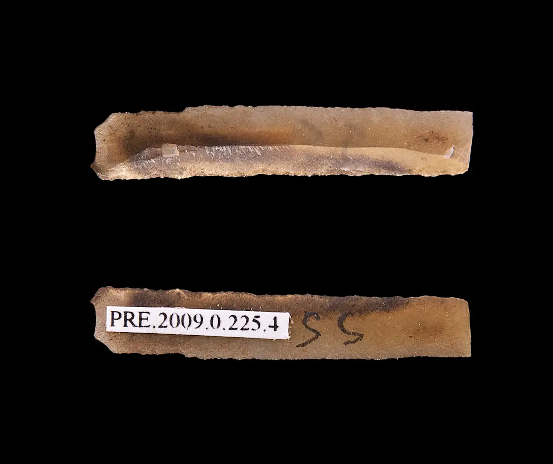 Microlame 0.225.4
