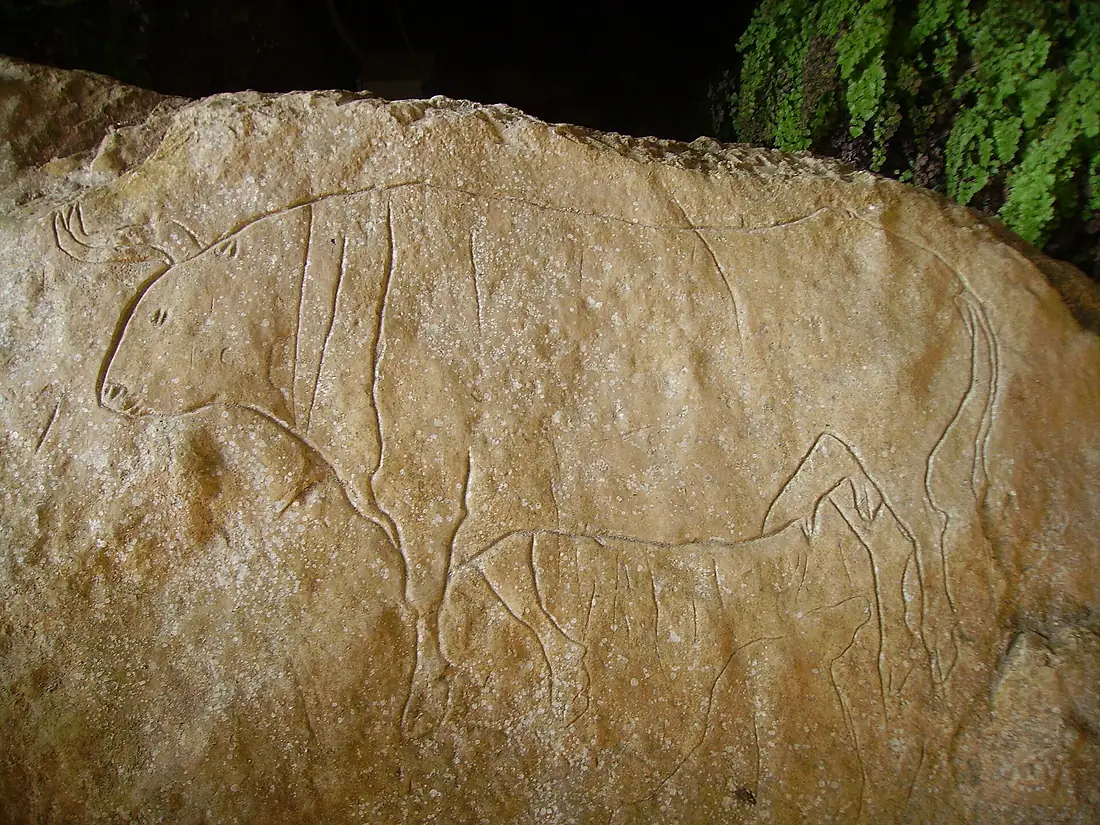 Grotta del romito2H