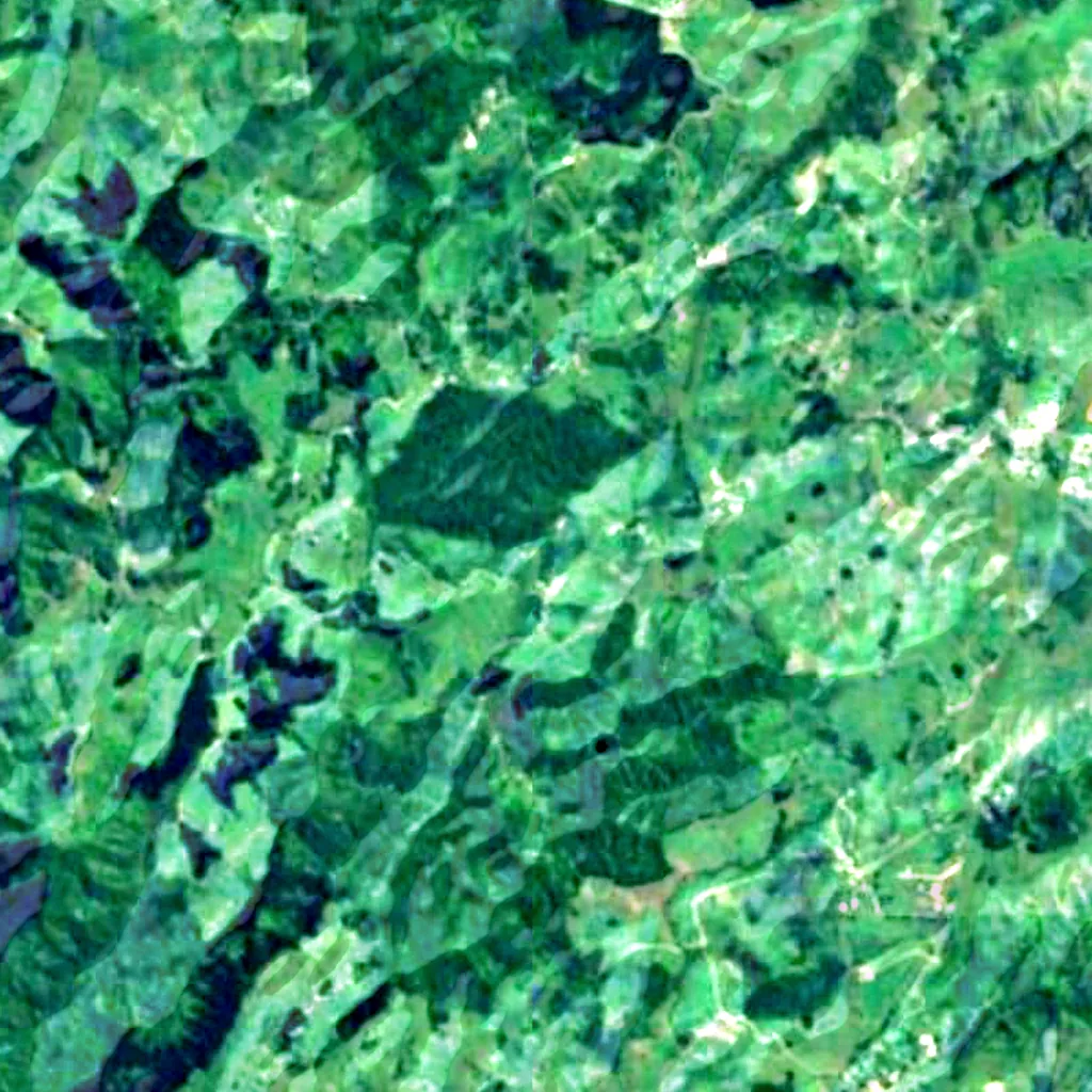 The ground above Ruakuri Cave (Sentinel-2)