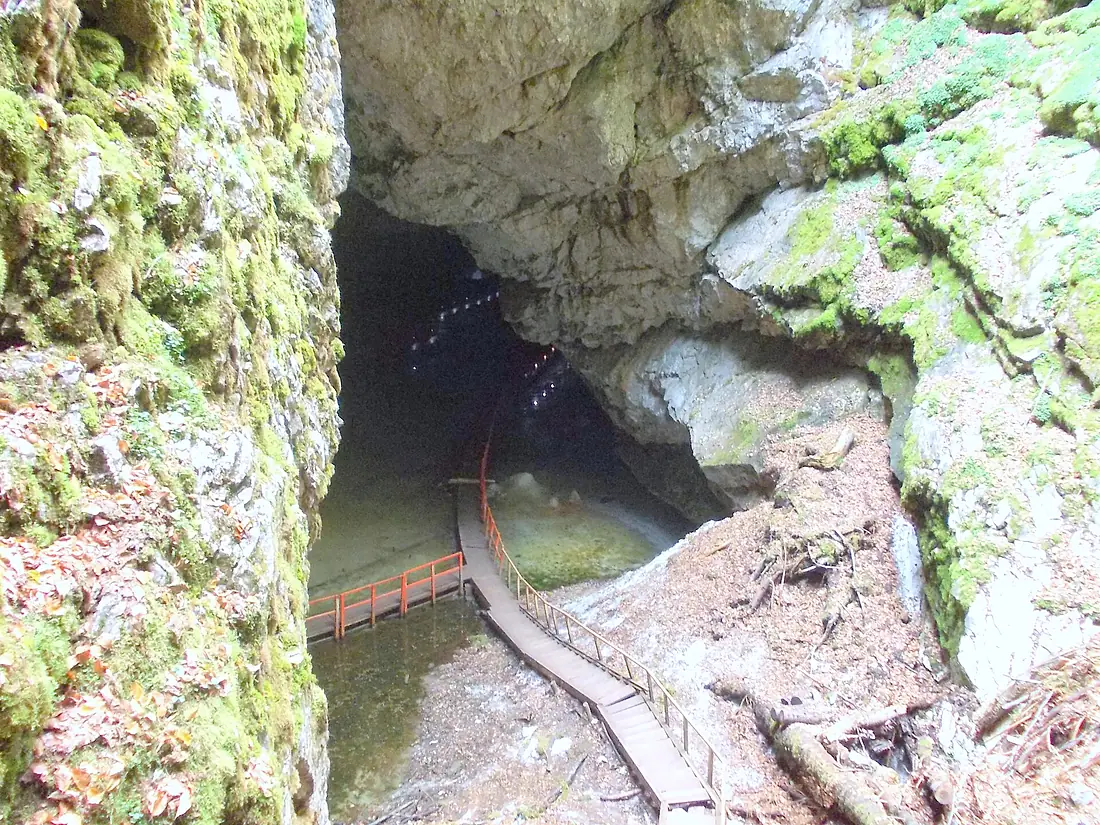 RO AB Pestera Scarisoara (2)