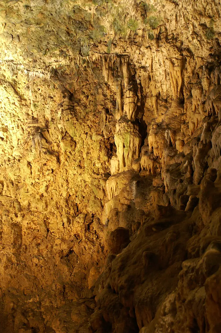 Schertelshöhle Tropfstein 1