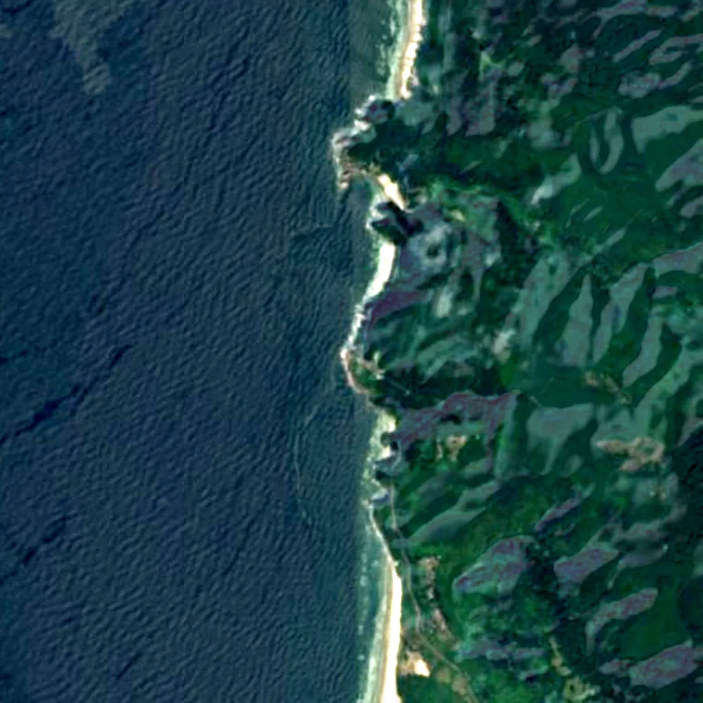 The ground above Sea Lion Caves (Sentinel-2)