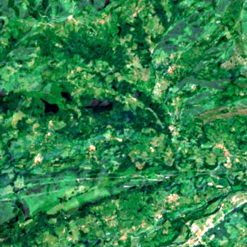 The ground above Sidrón Cave (Sentinel-2)