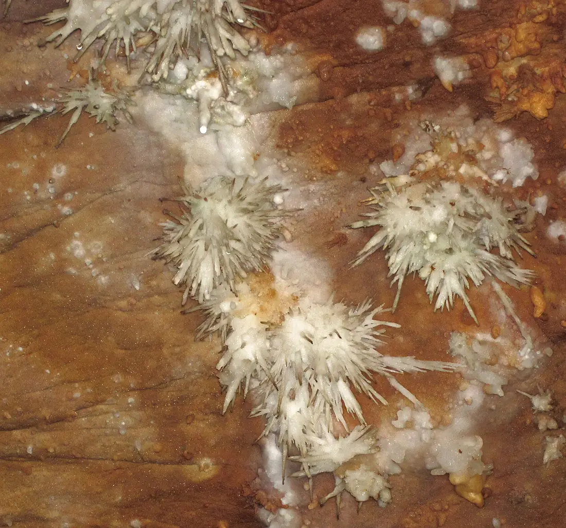 Anthodites (Skyline Caverns, Front Royal, Virginia, USA) 10 (27851705685)