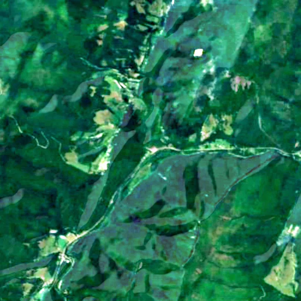 The ground above Smoke Hole Caverns (Sentinel-2)
