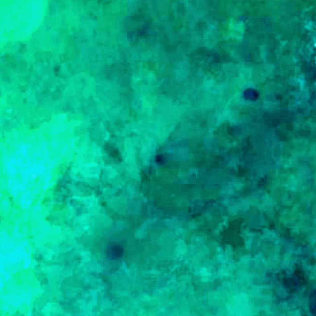 The ground above Taam ja’ Blue Hole (Sentinel-2)