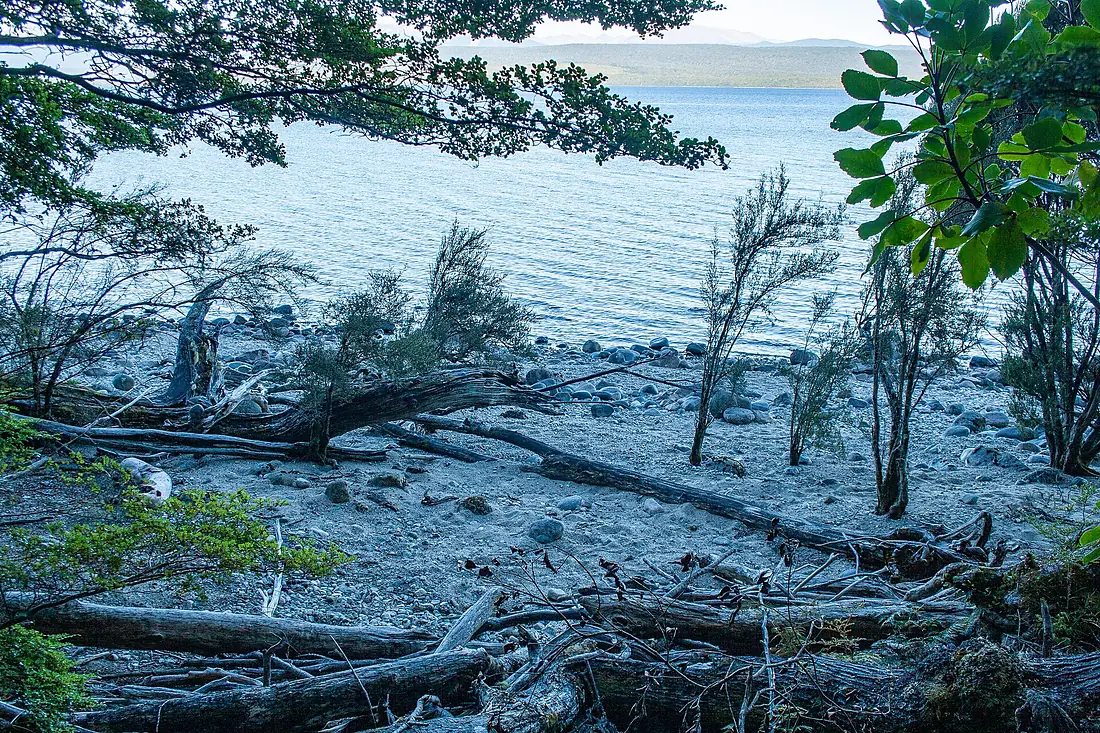 Shore of the lake at the Te Anau Glowworm Caves - 2