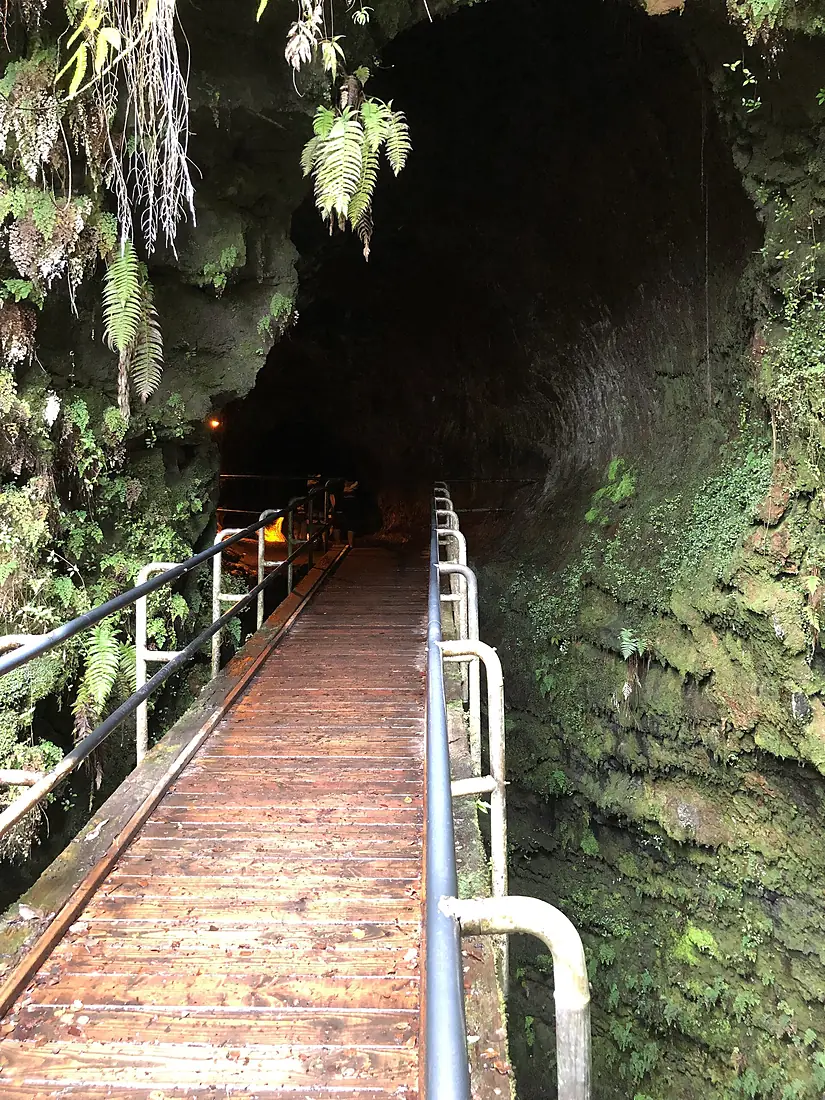 2021-10-09 13 52 32 The southwestern entrance of the Thurston Lava Tube within Hawaii Volcanoes National Park in Hawaii County, Hawaii