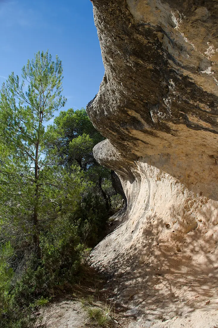 Abrigo de Tortosilla 01