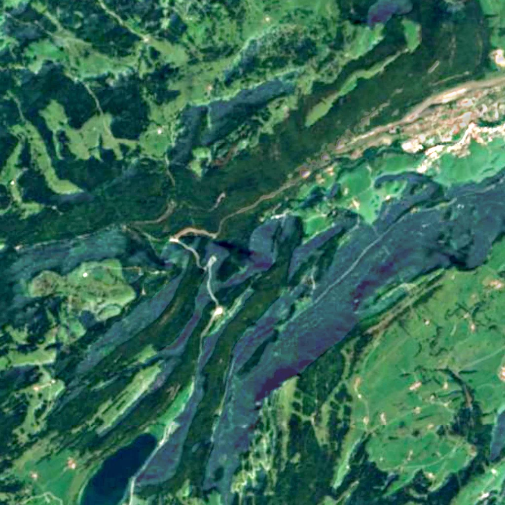 The ground above Vallorbe Caves (Sentinel-2)