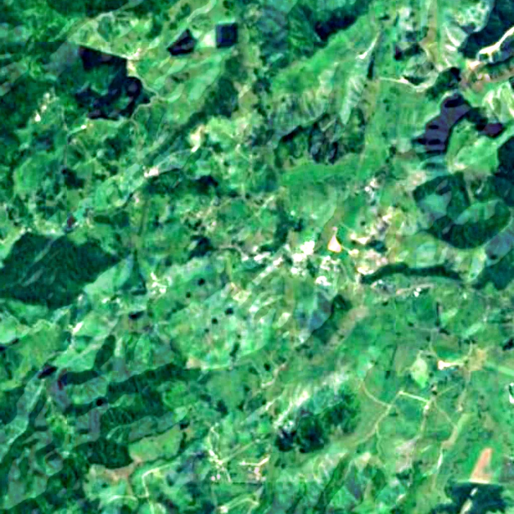 The ground above Waitomo Glowworm Caves (Sentinel-2)