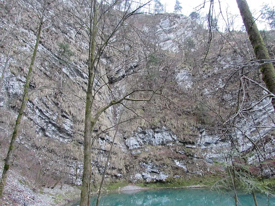 Cliff above Divje jezero