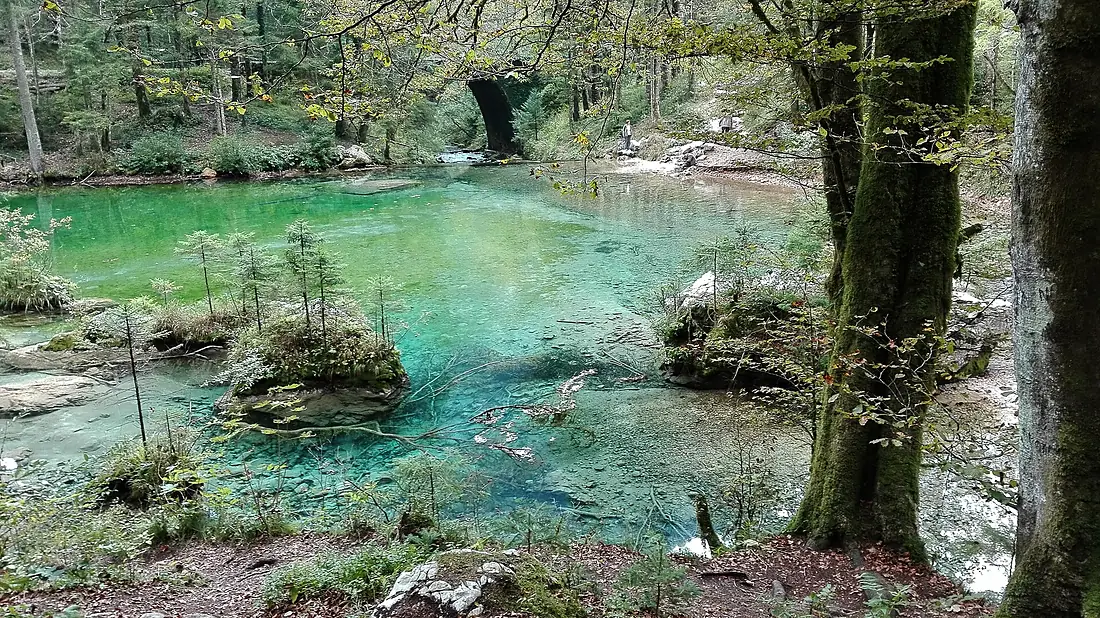 Divje jezero in 2016