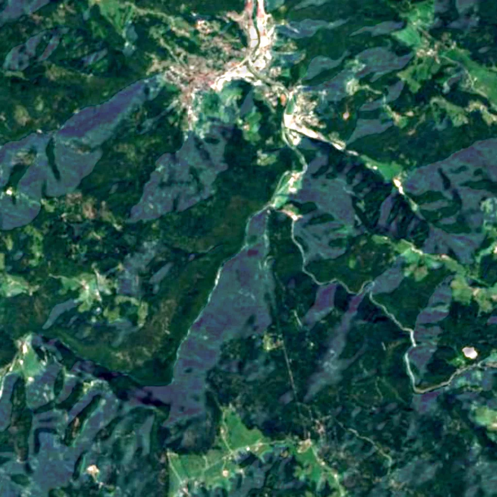 The ground above Wild Lake (Sentinel-2)