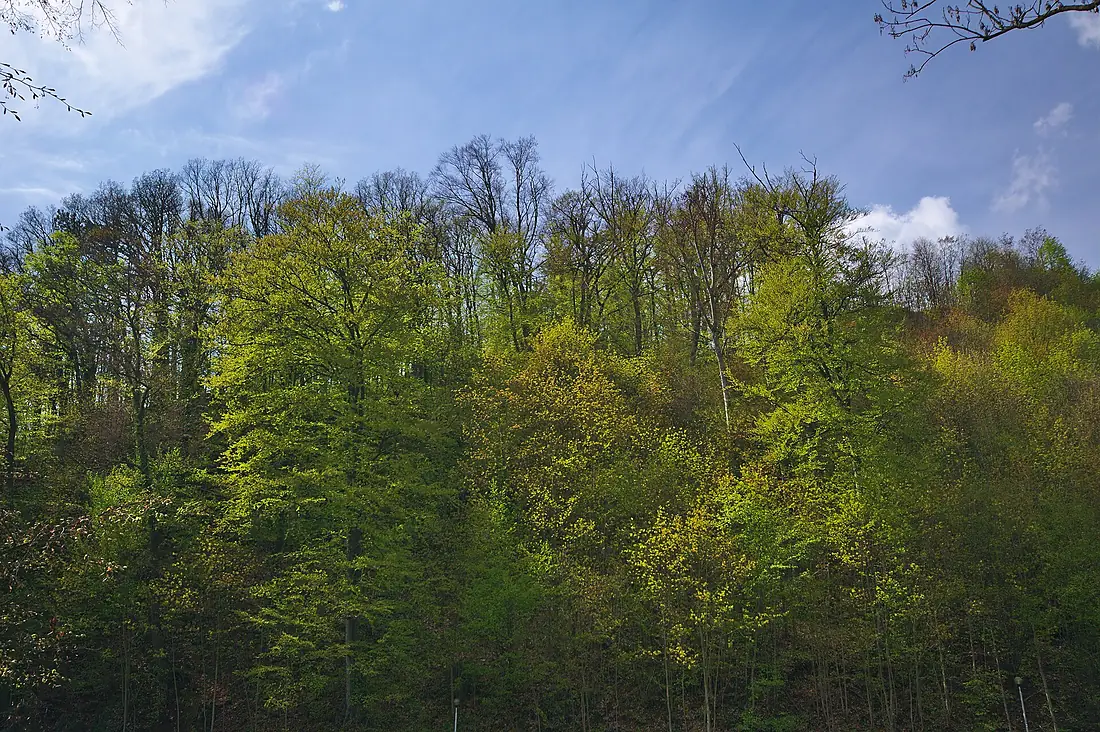 Národní přírodní památka Zbrašovské aragonitové jeskyně, okres Přerov (02)